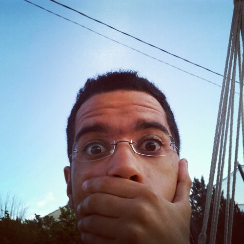 Huuummmm........la flemme !