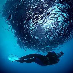 Learn Diving is FUN ans SAFE mean give the best method of training, in the right location, by qualified & experienced Instructors
