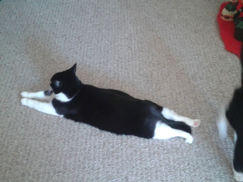 leblanc227's profile picture. 