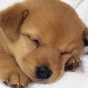 Jack Dyer - @JackDyer12 - Twitter