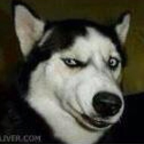 fritiofh's profile picture. Lund, Sweden. 

I don't do sub for sub!