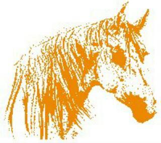 De officiële Twitter van de allergezelligste paardensportvereniging van het Land van Heusden en Altena.