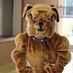 Prescott Bulldogs (@prescottsouth) Twitter profile photo Prescott Bulldogs (@prescottsouth) Twitter profile photo