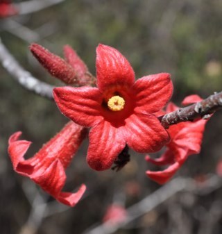 There is a real world out there.... observations of nature in Brisbane and elsewhere.. and occasional other stuff