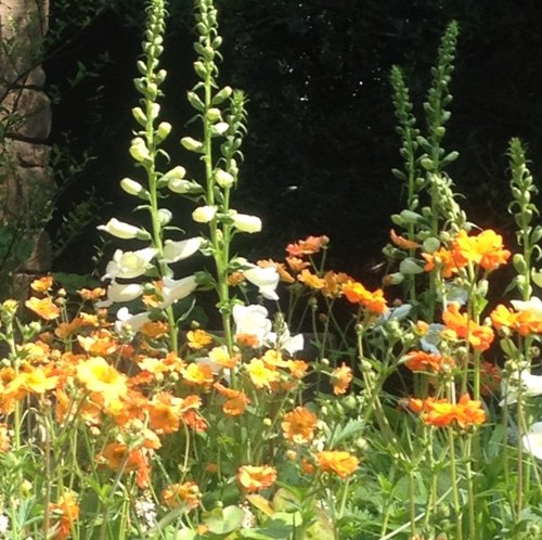 Lizzie Perry Profile