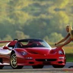 WayneNorton766's profile picture. collecting coins is my hobby