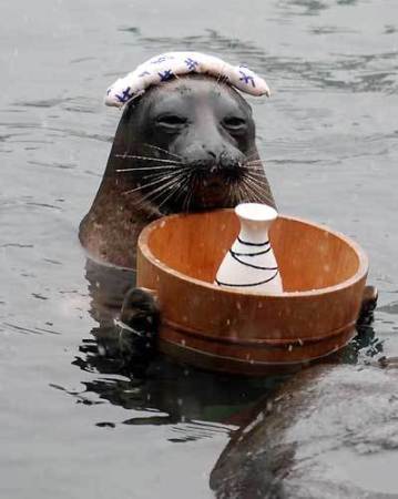 MA2koFX1's profile picture. 只今つぶやきテスト中です。人見知りするのでフォロー返しは基本しません。たぶん。