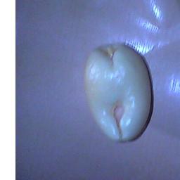 qim_pong's profile picture. 