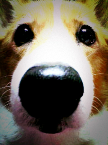 rieru1112's profile picture. サッカー大好き。ガンバ・バルサ。 遠藤保仁・リオネル・メッシ 音楽・お笑い・海外・韓国ドラマも大好き。京都人。胃腸弱めな食いしん坊。