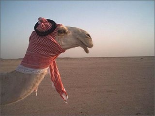 خارج عن السرب
وخاب كل درج عنيد ...