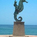 Sergio Solorio - @sergiosolorio77 - Twitter