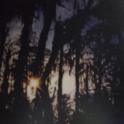 Elisabeth_04's profile picture. Master Journalistiek in Antwerpen // Muziekliefhebber overal // En dan vooral bij @CuttingEdgebe // Waar ik eveneens hoofdredactrice ben.