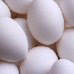 ElytheEggShell's profile picture. Hi Im Ely the Egg shell. If you have a middle name, I've got a chemical name, its Calcium Carbonate.