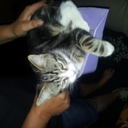 Jo McGovern - @jomcgovern45 - Twitter