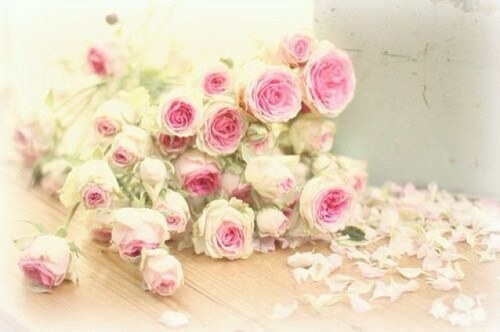 الــْ زَهْرَاءْ هكذا أُحب أن أُلقّبْ . ()