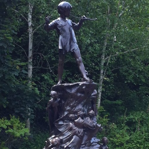 dknomatterwhat's profile picture. 