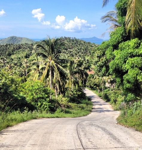 samuity's profile picture. Samui Community