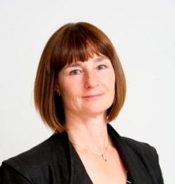 social housing, sport and charities. non - exec director, coach and mentor.