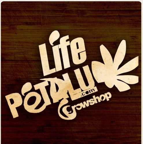 petaluenelmatu's profile picture. nacimiento 22-10-2010