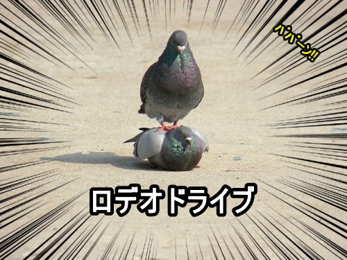 忘れないように日常の事を呟いてみます。