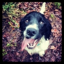 Matthew Greig - @Matt_greig - Twitter