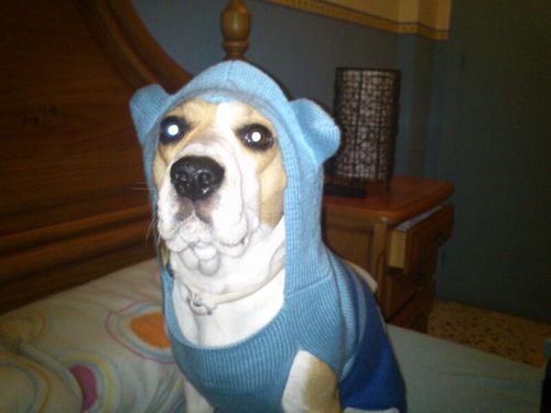 micro1980's profile picture. 