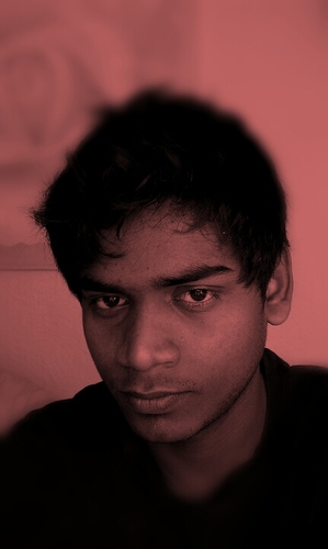 INAFRI's profile picture. 