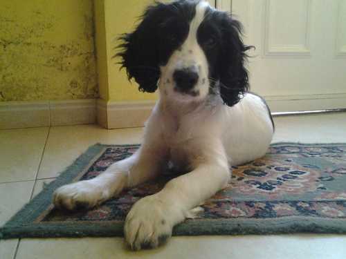 Alon4230's profile picture. 