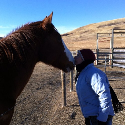 Lover of dogs, horses & a few people