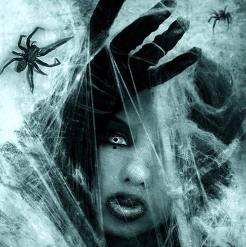 lyrics_mc's profile picture. I ALWAYS FOLLOW BACK!