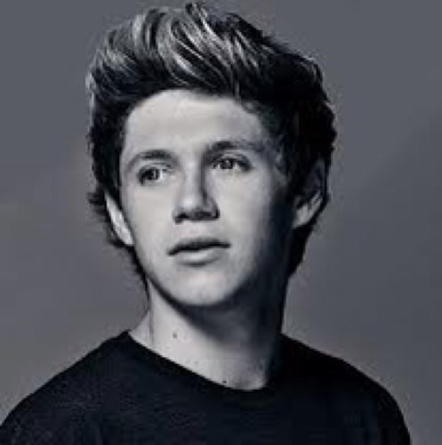 one big fan of one direction a really big fan U FOLLOW ME I FOLLOW U 3 and if u 3 one direction then follow me i love u harry styles