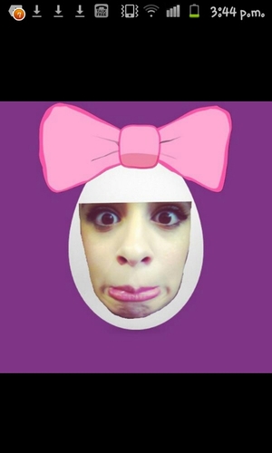 this is @CamilasHoneyboo aka ireland i go on this account whenever im on tweet limit which is always | the 5h account follows me omg