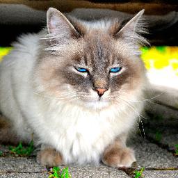 thinKdifferent9's profile picture. 