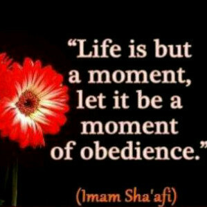 mohamedchodree's profile picture. 