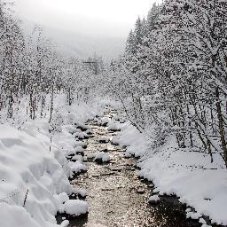 ADayInTheSmokie's profile picture. This Smoky Mountain Travel guide works for you as a Free Great Smoky Mountains Vacation Planner, come find what you need for a best vacation experience!