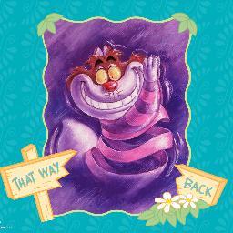 emakocherry's profile picture. 主婦業してるんですが、趣味がパソコンなので家事以外の時は良くパソコンの前にいます☆