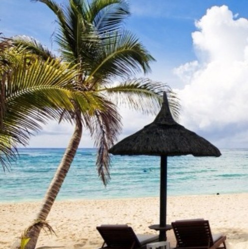 rprice7746's profile picture. 