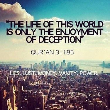 aMuslimahsDiary's profile picture. nope