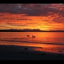 Rae Adamson - @RaeAdamsonIslay - Twitter