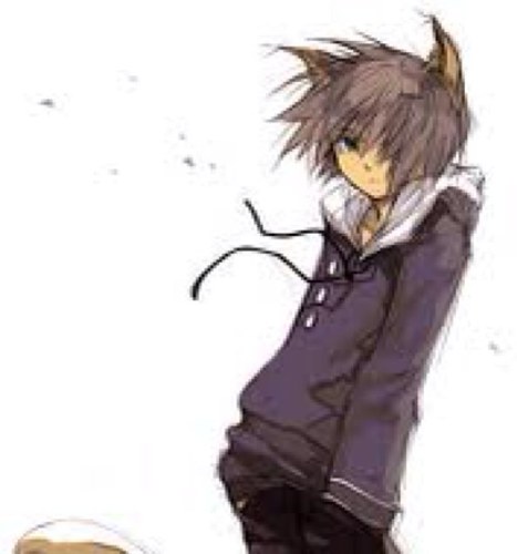 I'm willy a young neko descovering new powers Dad :shadow the hedgehog
 I am single #single age:15 ((rl age 15))