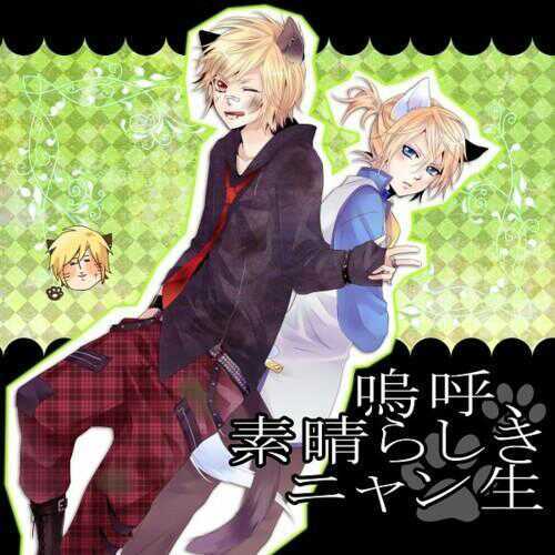 きるみーさんのプロフィール画像