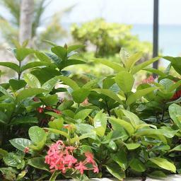 carlaj55's profile picture. 