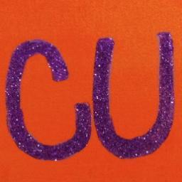 CUGirlProbs's profile picture. A twitter account that only females at Clemson University can understand. #ROLLTIGERS