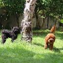 luisa leonardi - @luisaleonardi - Twitter