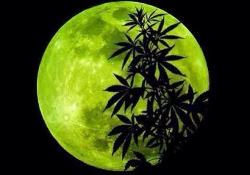 wake & bake ppl