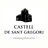 CastellSGregori's profile image