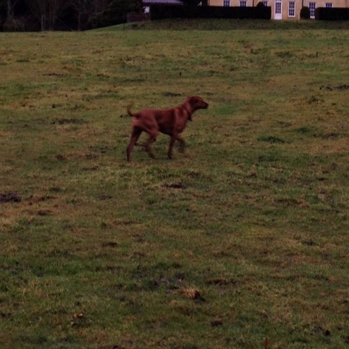 tdavid228's profile picture. Arsenal FC supporter. Coyg