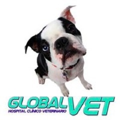 Clínica Veterinaria de Santiago, altamente preparada para solucionar los problemas de sus mascotas