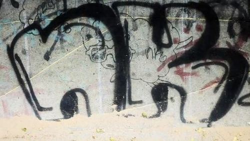 Ninjas Kingz Crew ~~ Organizaçaão dos Graffiteiros .