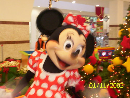 Tideca's profile picture. 